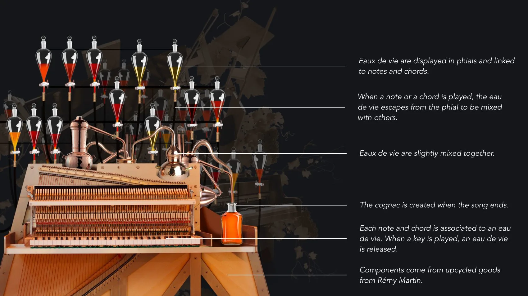 Rémy Martin — Le Pian.XO, visuel 3