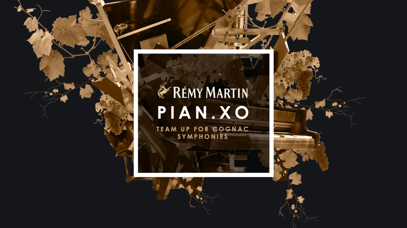 Rémy Martin — Le Pian.XO, visuel 1